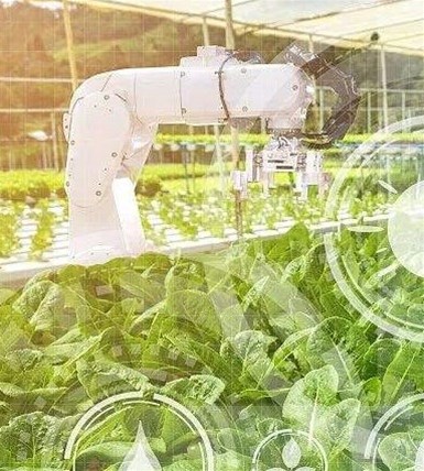 2022农业农村产业发展38项重大技术需求发布